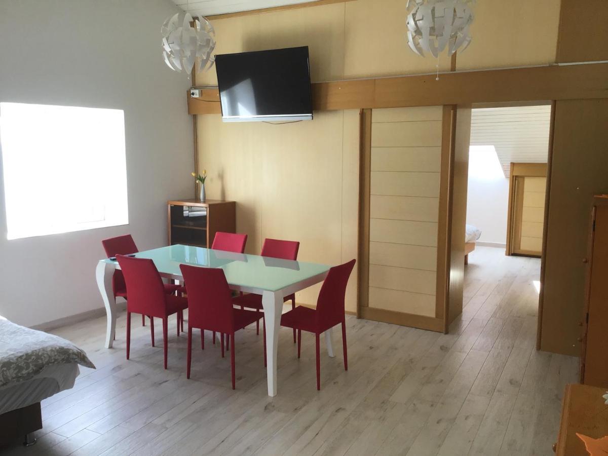 Apartments Tomato Novigrad  Bagian luar foto
