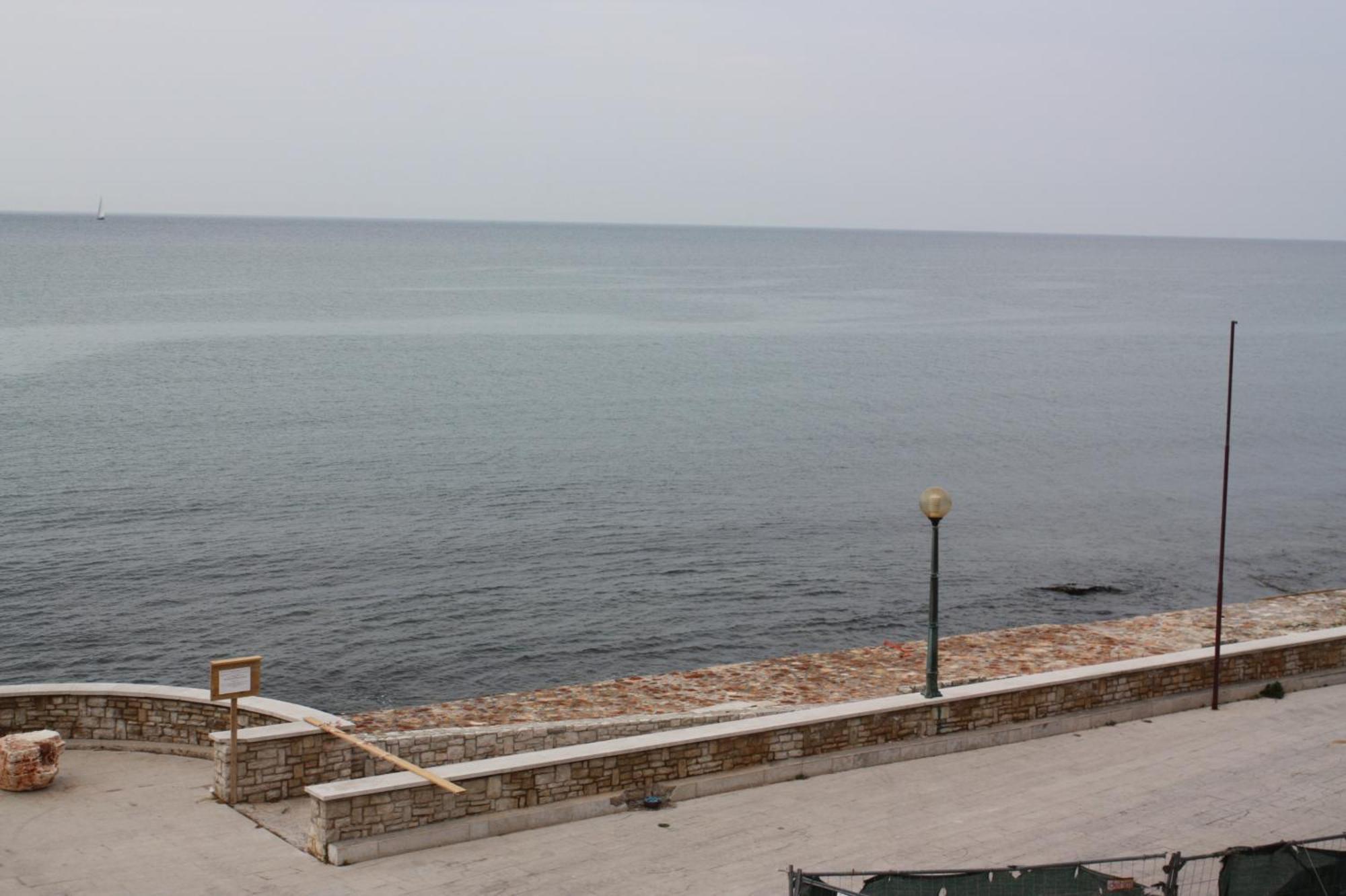 Apartments Tomato Novigrad  Bagian luar foto